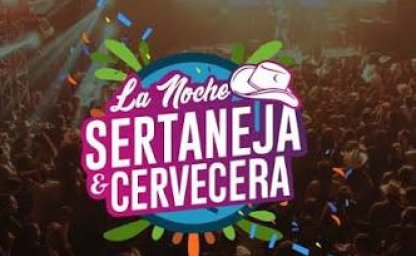 Usos y apropiaciones del lenguaje audiovisual en la música popular de la provincia de Misiones (2016-2026)